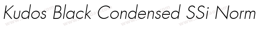Kudos Black Condensed SSi Normal字体转换